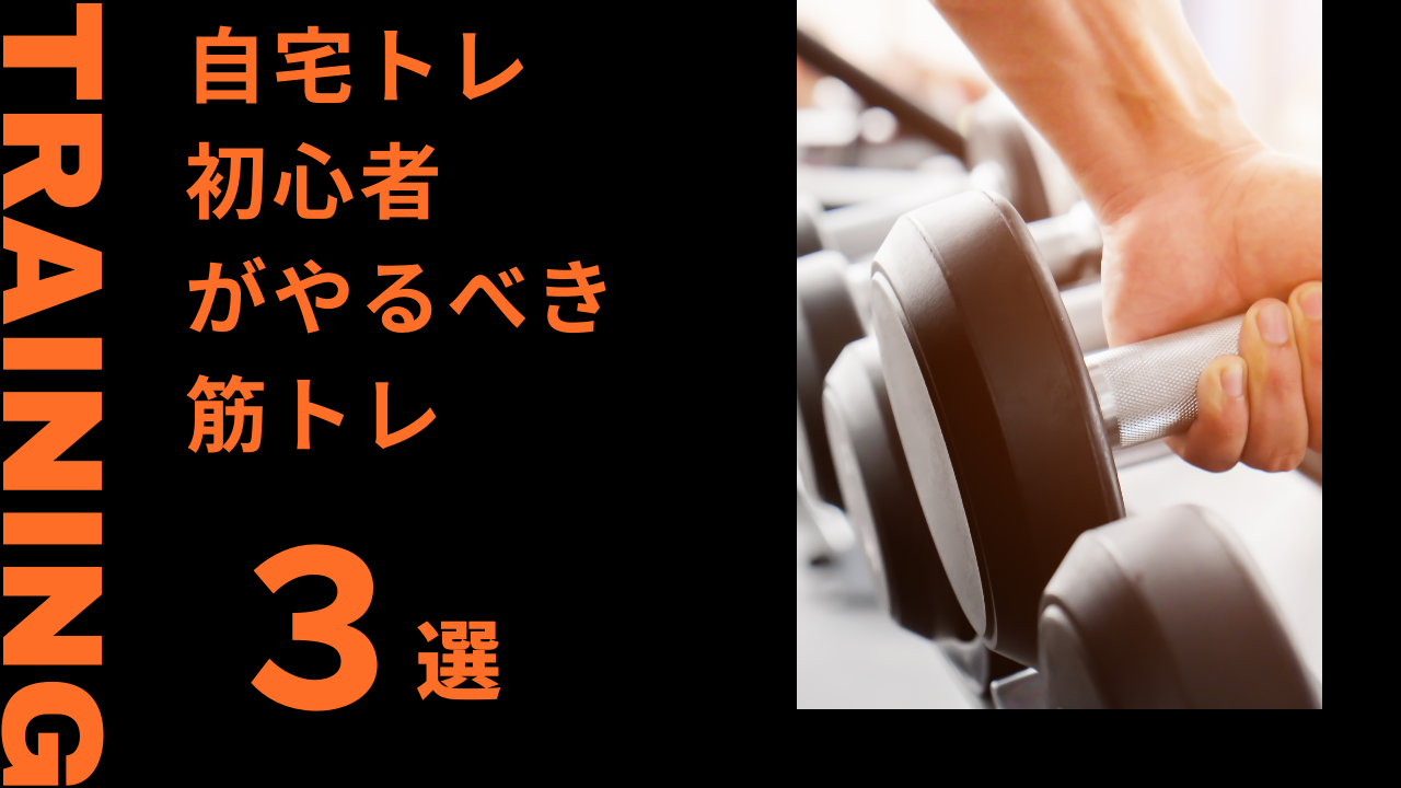 初心者がやるべき筋トレ３選（自宅トレ編）